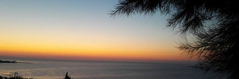 tatiisik's profile banner image
