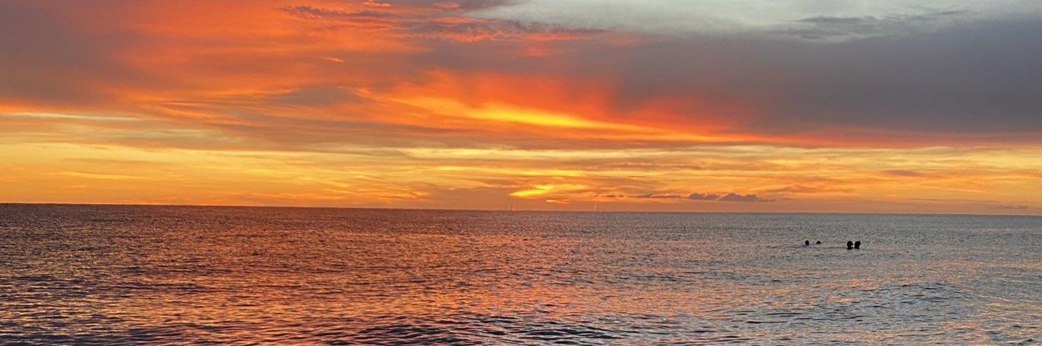 TheGinaCastaldi's profile banner image