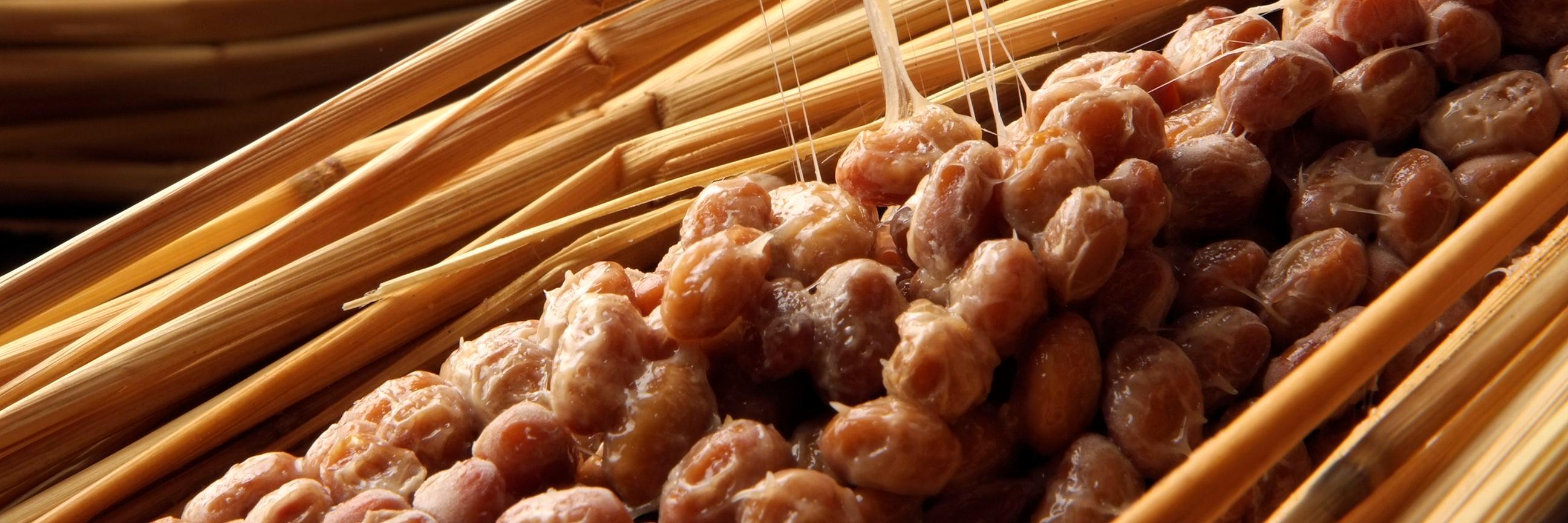 NATTO banner