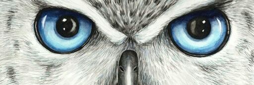 Nyachenga1's profile banner image