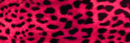 Meg_Geg's profile banner image