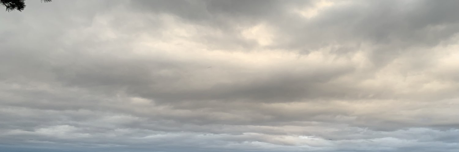 Mad_Hansen's profile banner image