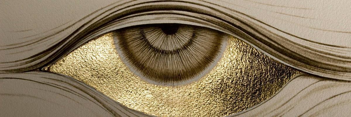 fungisophy's profile banner image