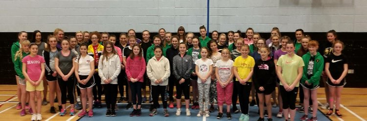 Angus Netball banner