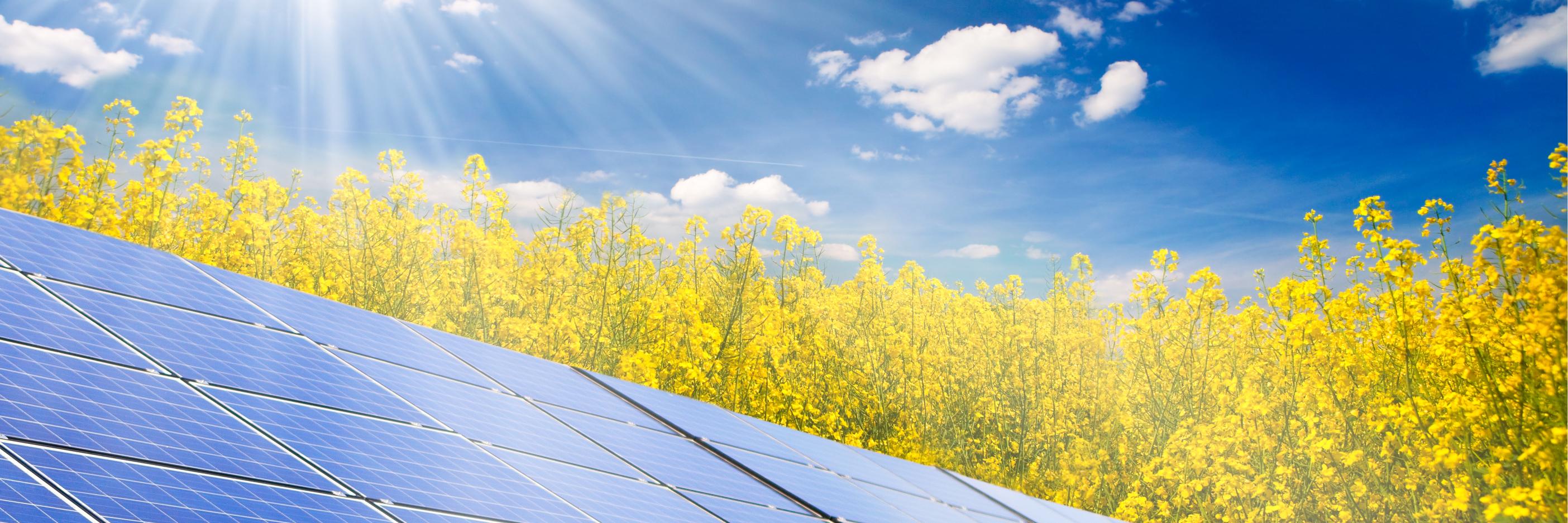 EarthwiseSolar's profile banner image