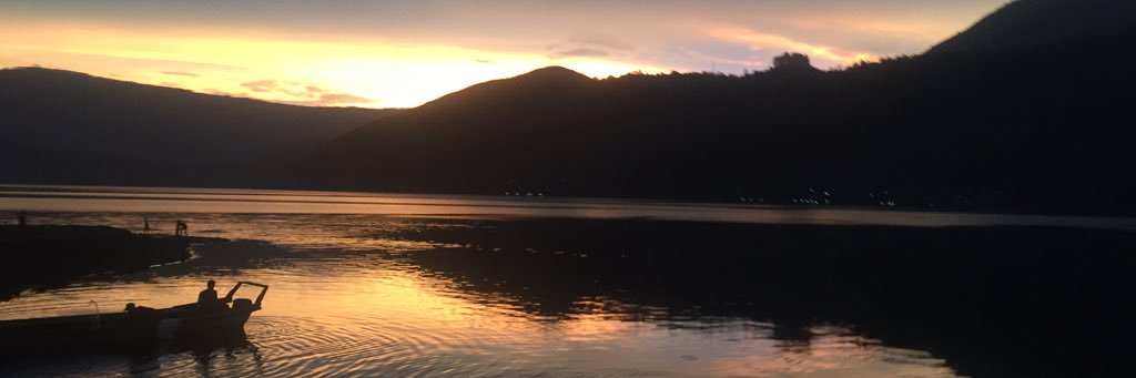 Ricardo Pardede banner