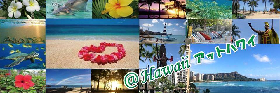 At_Hawaii50's profile banner image