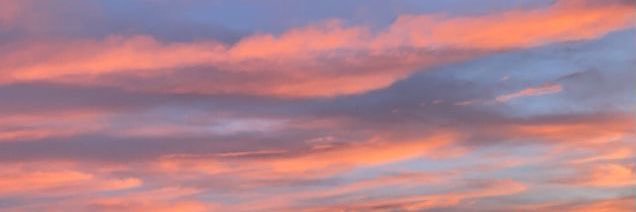 carmennc__'s profile banner image