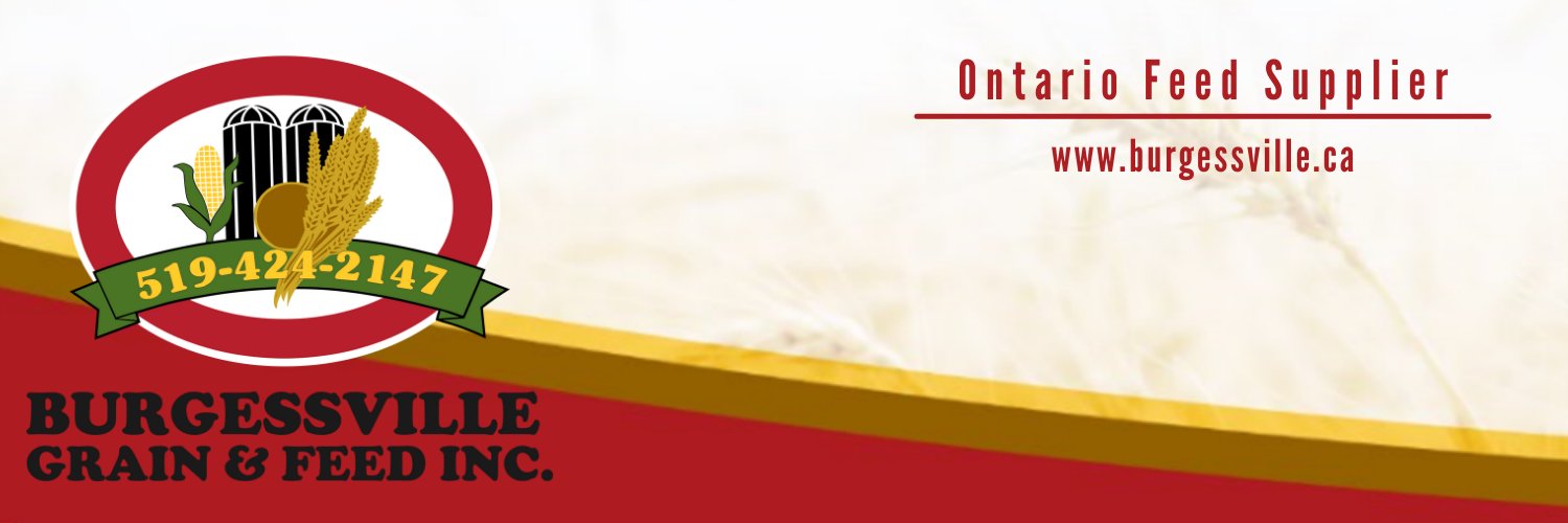 Burgessville Grain banner
