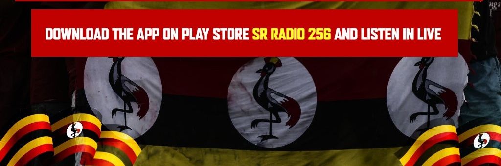 Elly Meshulam banner