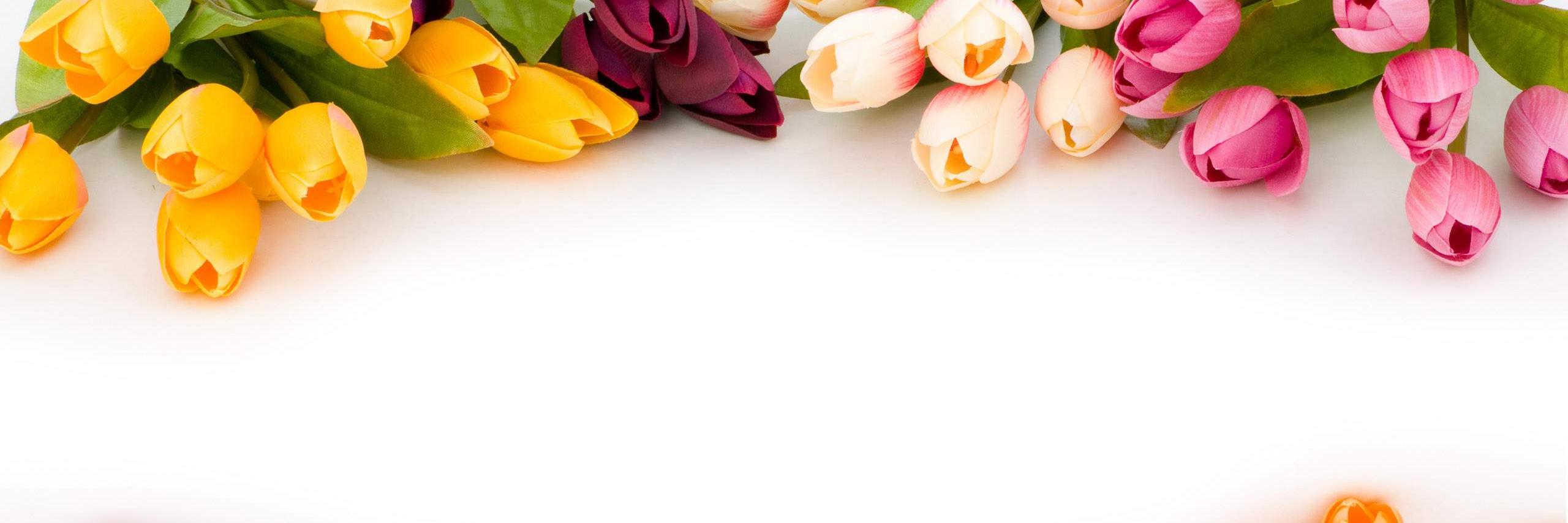 RootedReviews's profile banner image
