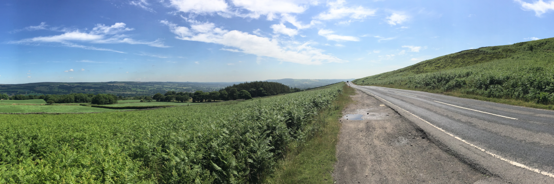 jamie criddle banner