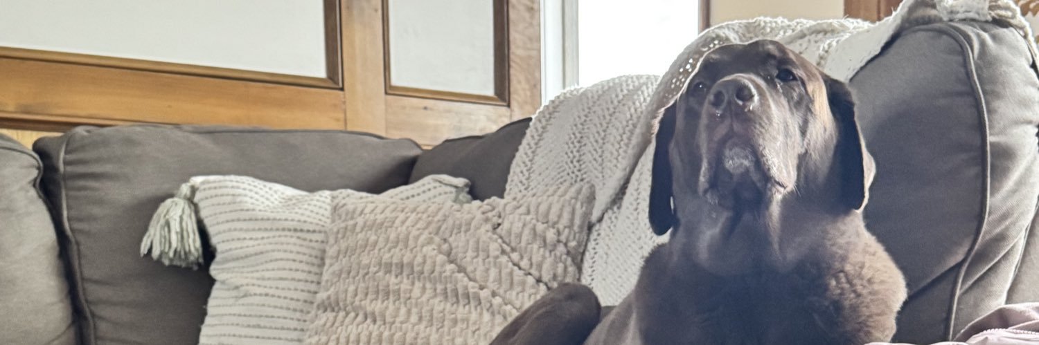 notkkauffman's profile banner image