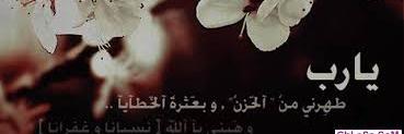 19962015_dina's profile banner image