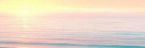 er1py0n's profile banner image