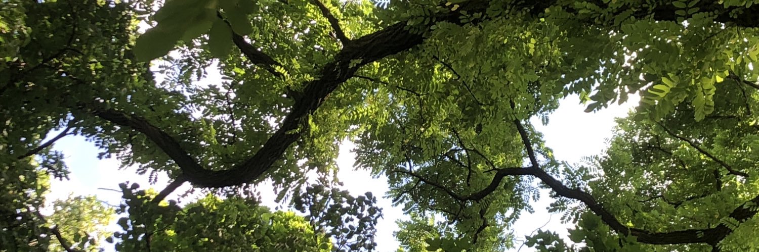 паꑭпсихізм banner