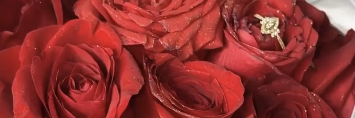 foreverlaissa's profile banner image