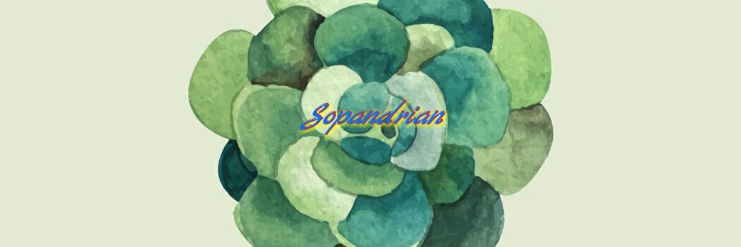 sopandrian's profile banner image