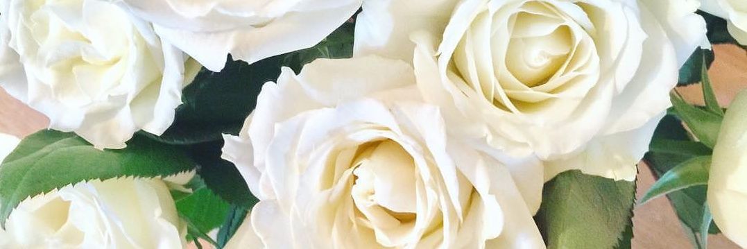 Silver Spring (MD) Links banner