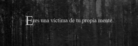 †Angel Caido† banner