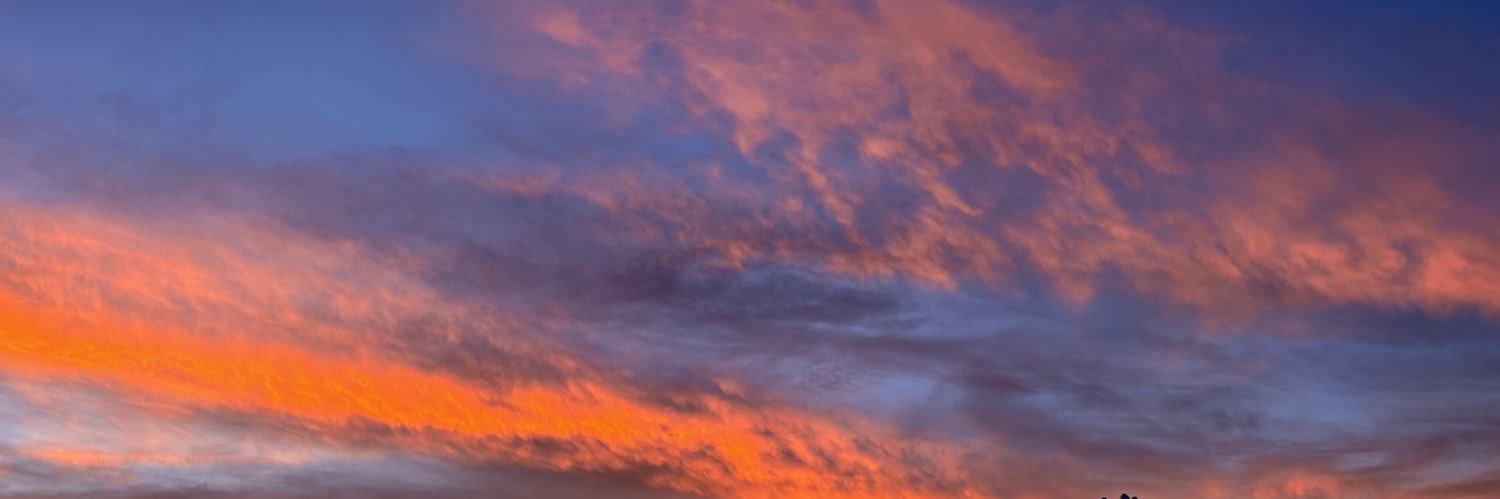 lyssaaa15's profile banner image