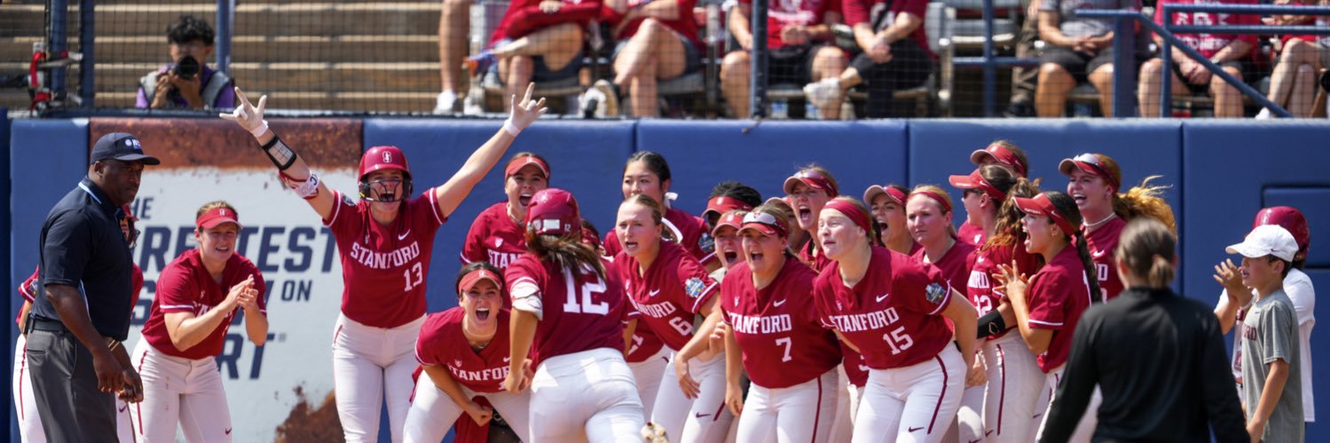 Emily Schultz banner