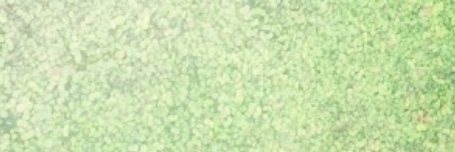 bensdorp's profile banner image