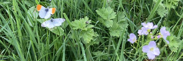 Sharpr1966 Profile Banner