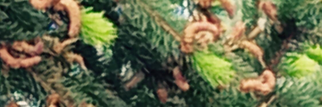 ravenatia's profile banner image