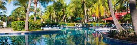 THE LATINO HOTTIE banner