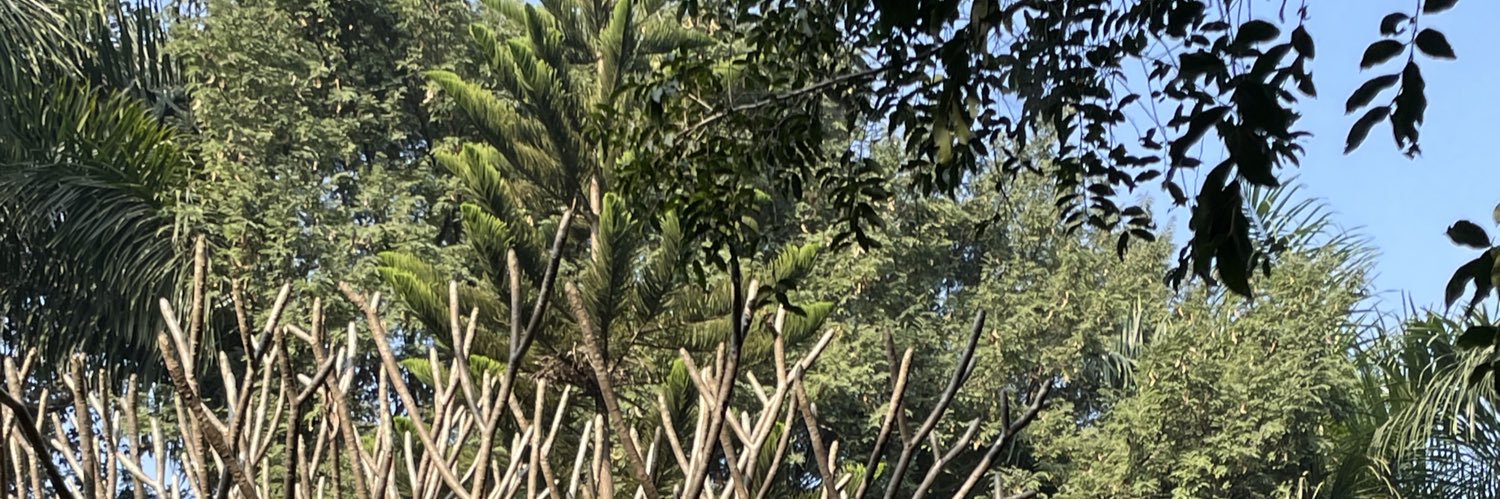 butterpoha's profile banner image