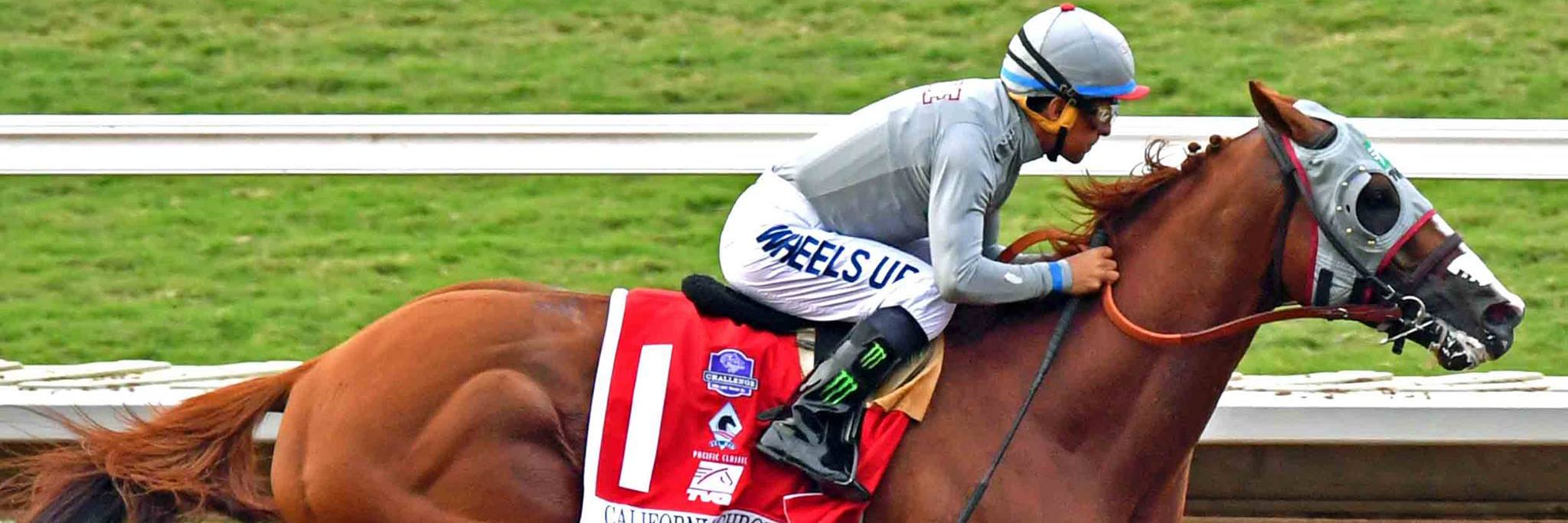 California Chrome banner