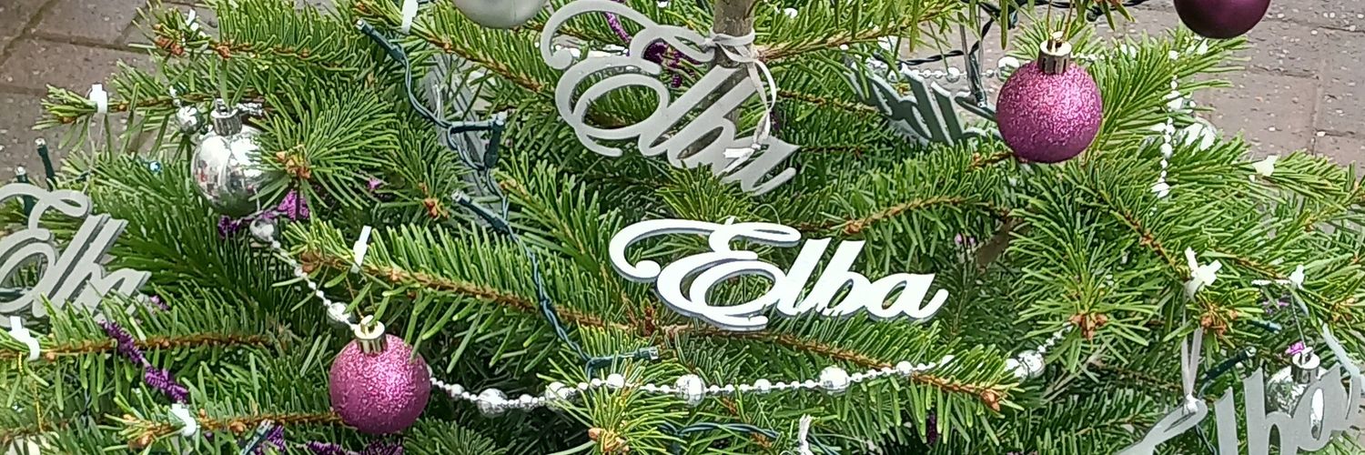 Elba Artisan Gallery banner