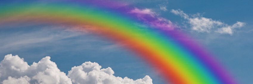 Katherine Beh banner