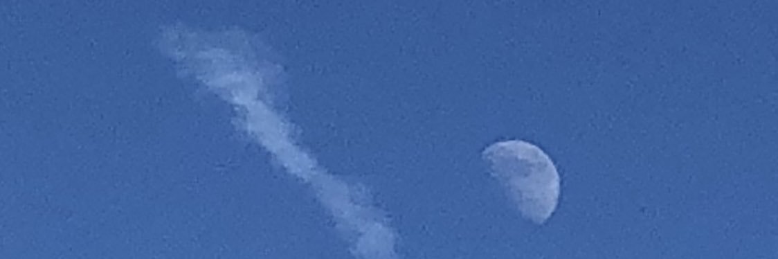 Tracy Marshall banner