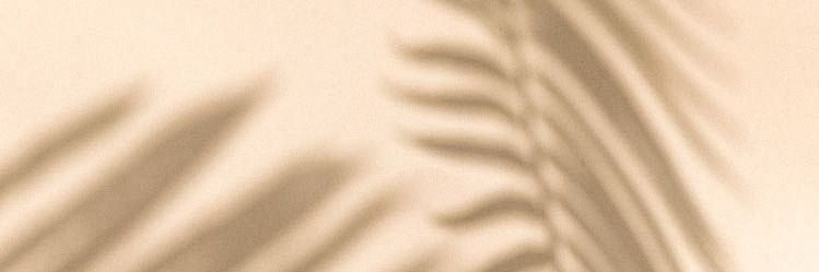 dogabulatt's profile banner image