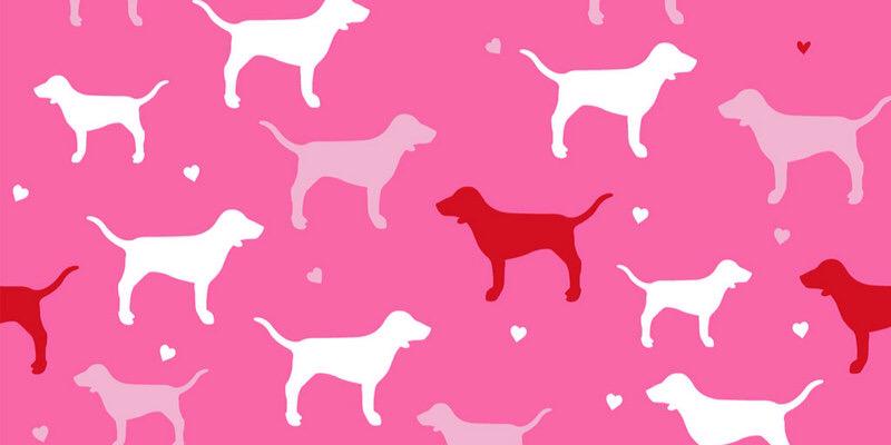 DmMilay's profile banner image