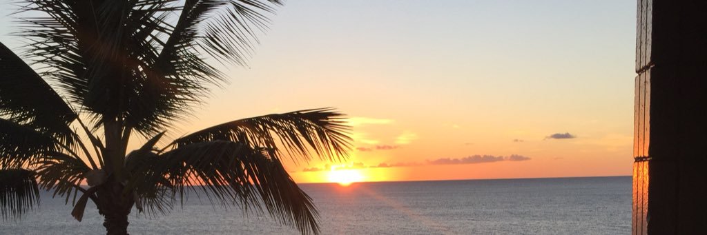 PalazzoloRobin's profile banner image