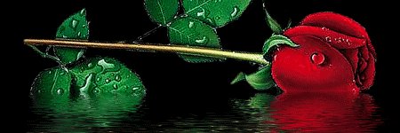 06Bnsn's profile banner image