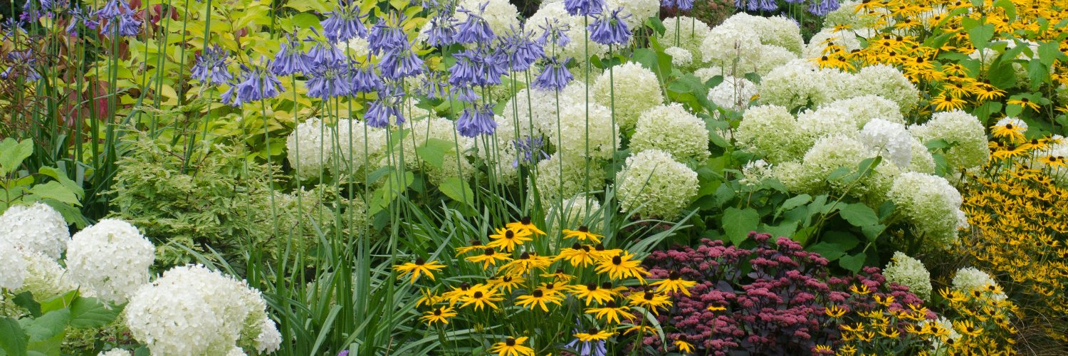 QVLandscaping's profile banner image