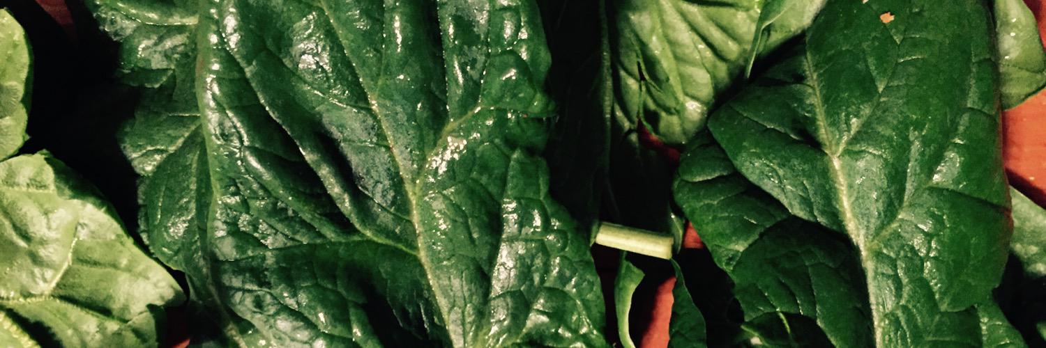 Chef Justin Voldan banner