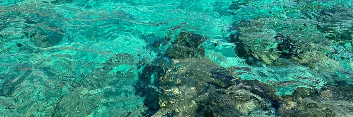 Philippe Sayegh banner