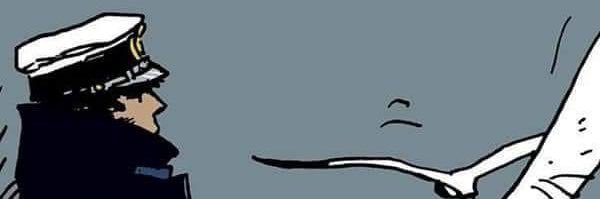 RobustosMD's profile banner image