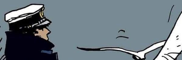 RobustosMD Profile Banner