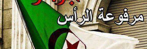 Manar_oran's profile banner image