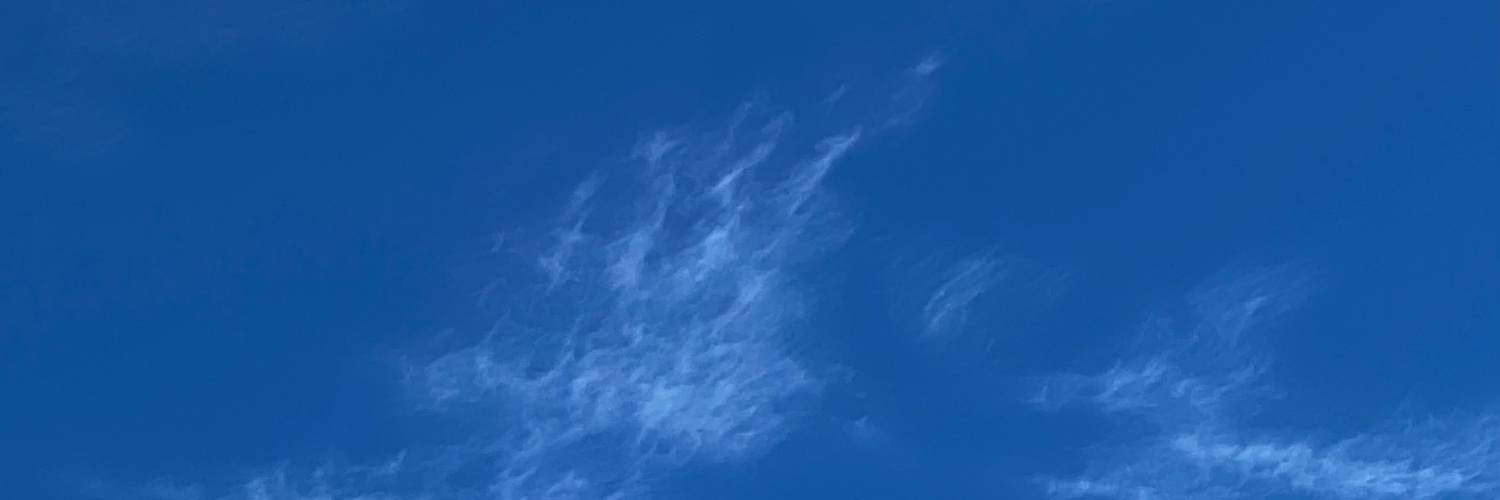 aCatNamedAman's profile banner image
