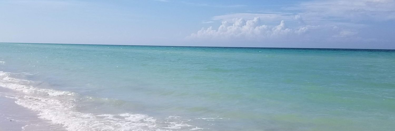 AaronVainilla's profile banner image