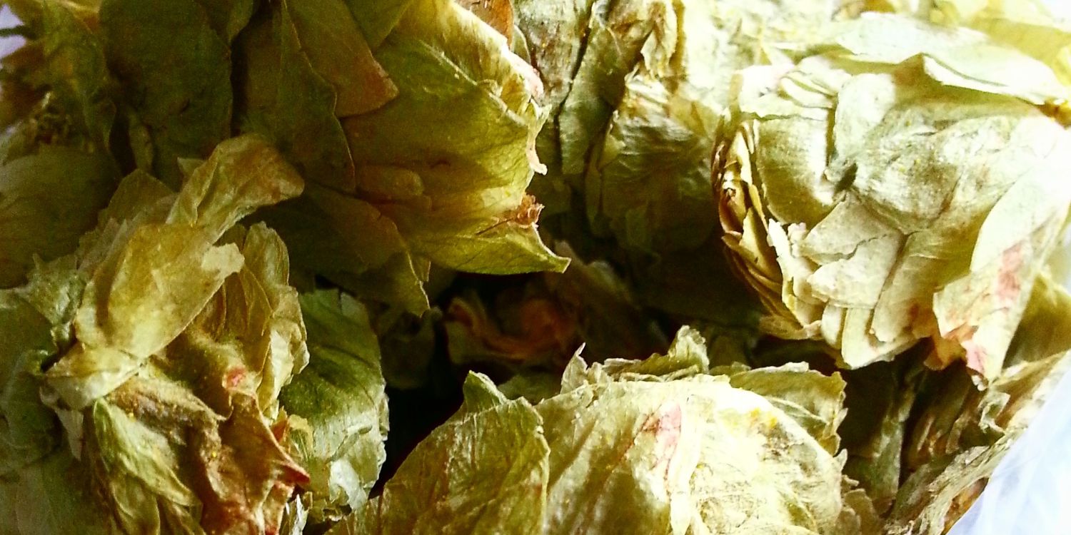 EastVanBeerMan's profile banner image