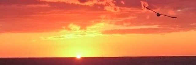 ales19's profile banner image