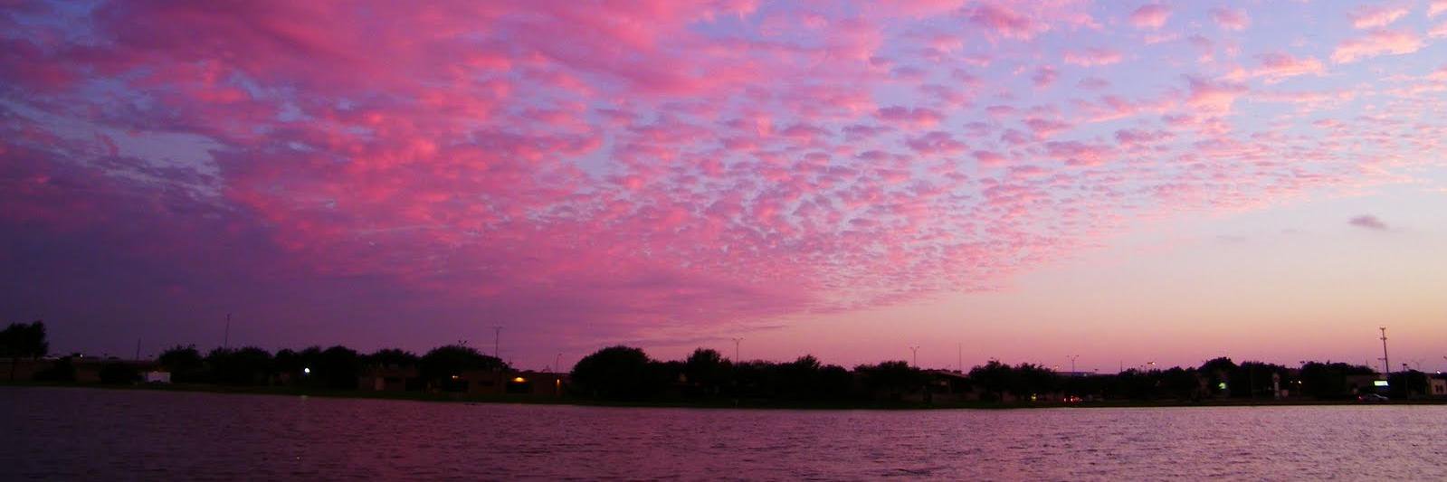 The Clear Cider 🦋 banner